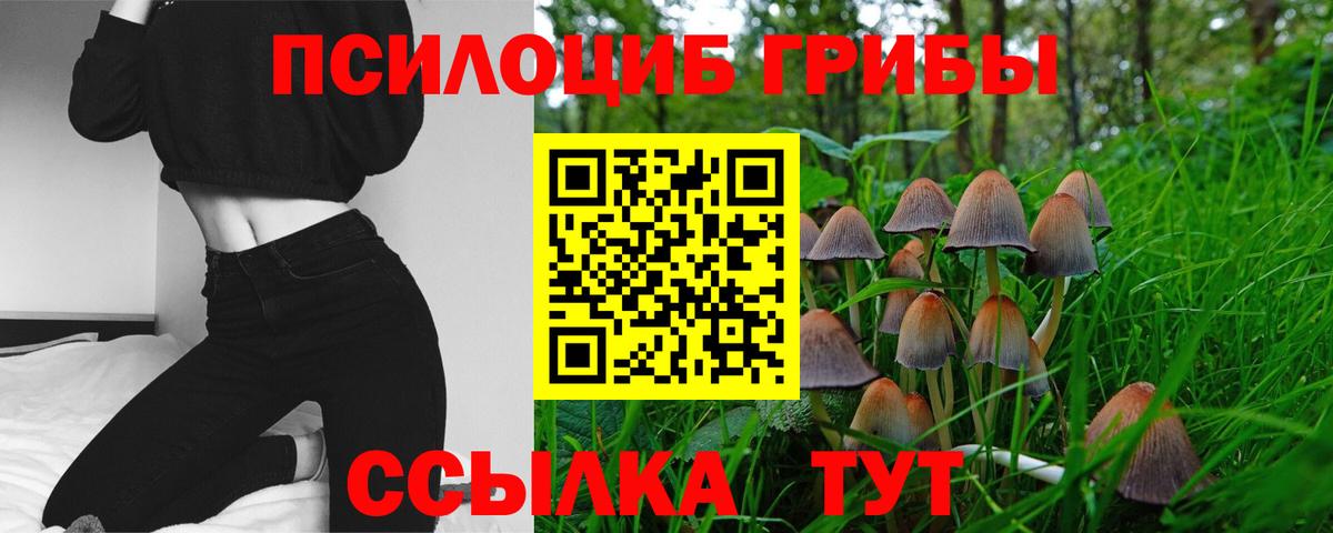 Галлюциногенные грибы MAGIC MUSHROOMS  Вход с VPN  Кириши 